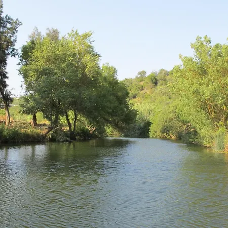 Villa Villa Flor De Lis - Vip Properties By Interhome